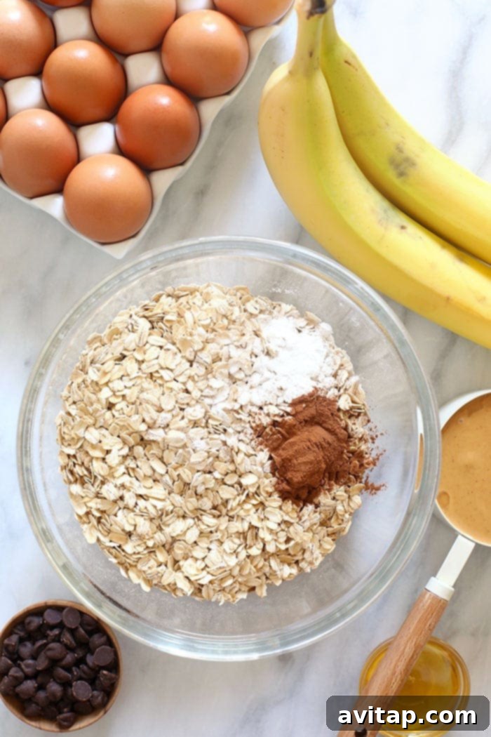 A bowl filled with uncooked oatmeal ingredients, including rolled oats and chocolate chips, symbolizing healthy components.
