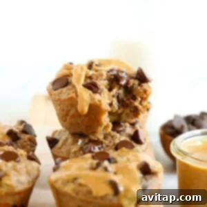 A beautifully presented peanut butter chocolate chip oatmeal cup, ready to eat.