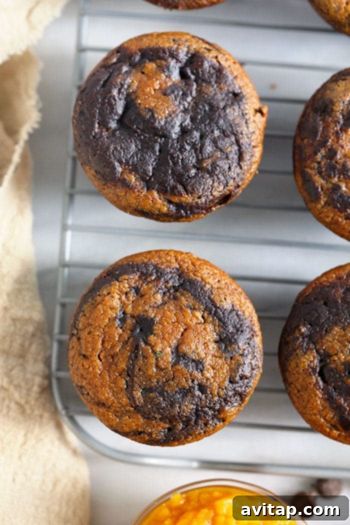chocolate pumpkin zucchini muffins on a cooling rack