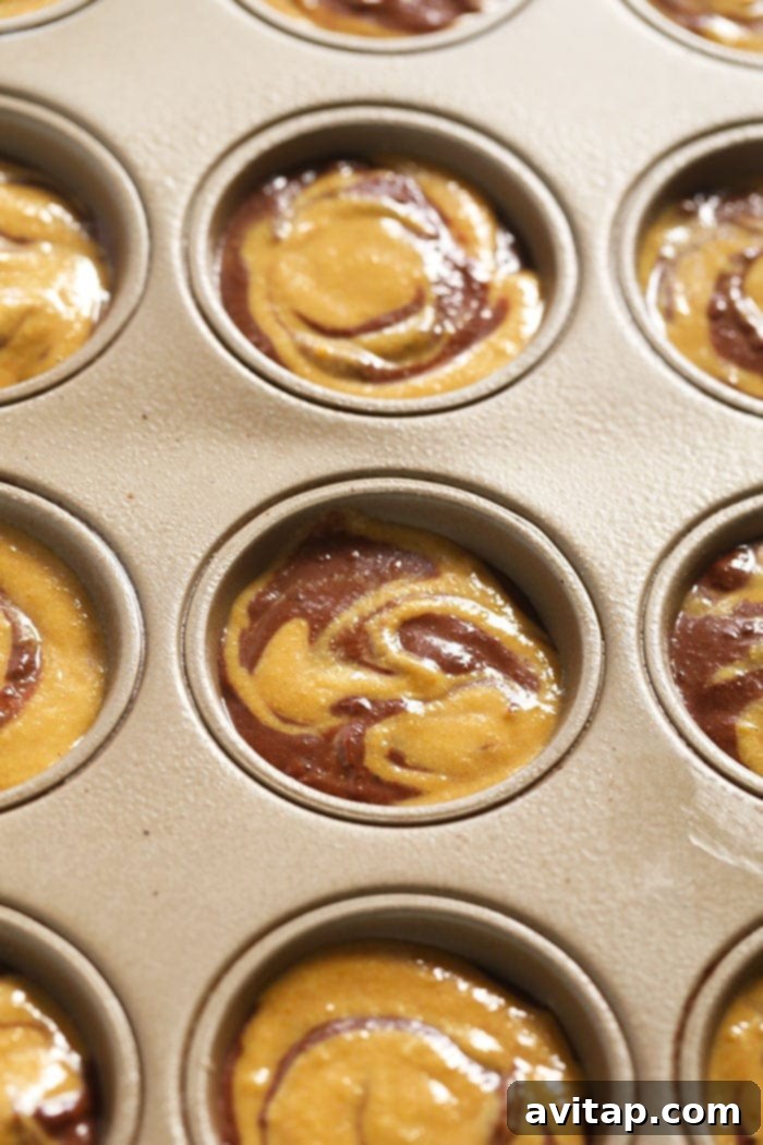 how to swirl muffins with pumpkin and chocolate