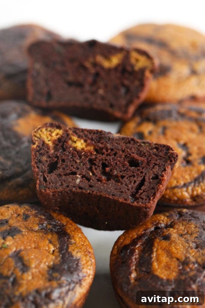 chocolate pumpkin zucchini muffins cut in half to show the swirl