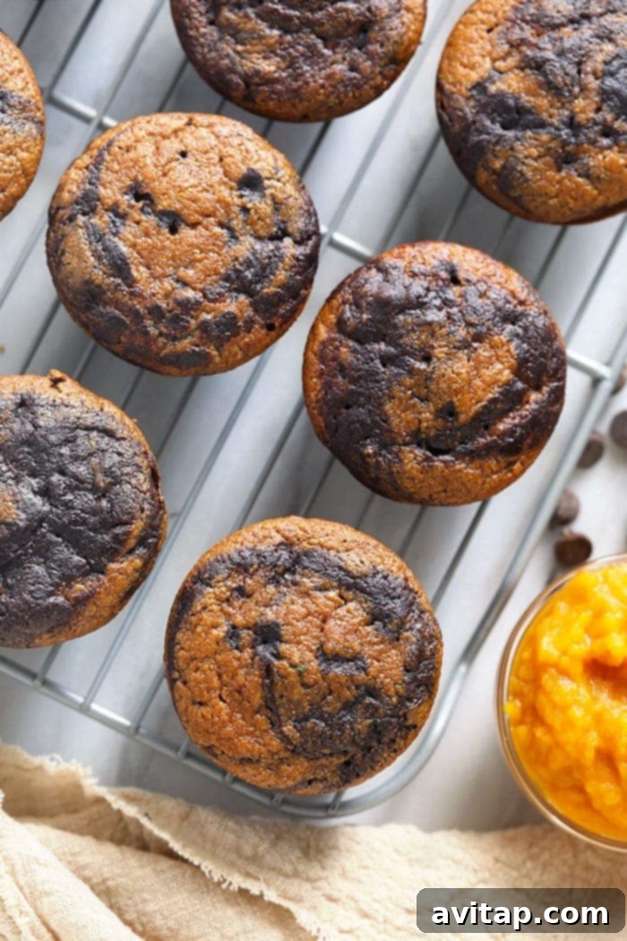 chocolate pumpkin zucchini muffins on a cooling rack