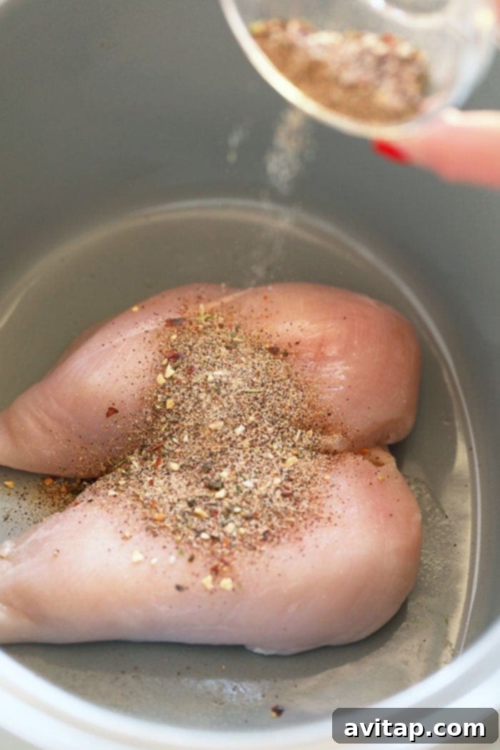 Chicken breast in slow cooker seasoned with spices before cooking