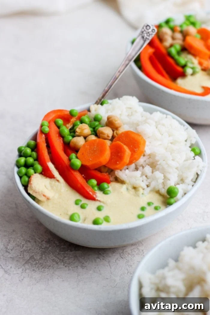 A vibrant bowl of creamy cashew curry, rich with vegetables and sauce, ready to be enjoyed.