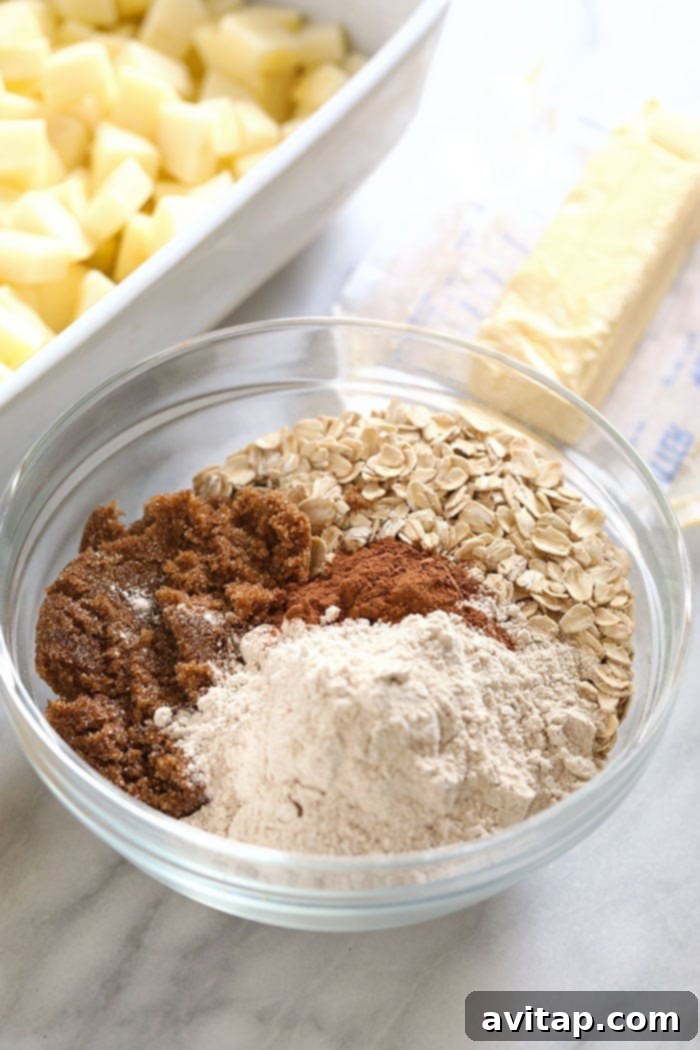 Close-up of a bowl filled with the prepared apple crisp topping, showing the perfect mix of oats, flour, and butter crumbles, ready to be spread over the apples.
