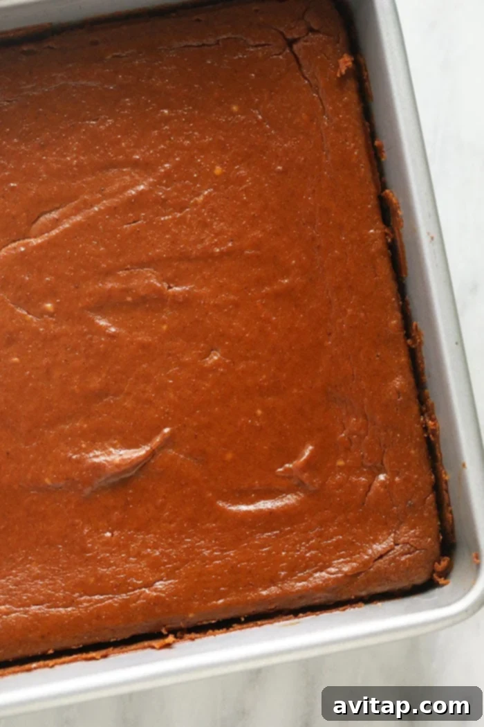 Pumpkin Cheesecake Bars in Pan Baked pumpkin cheesecake bars cooling in a square baking pan, ready for chilling and slicing.