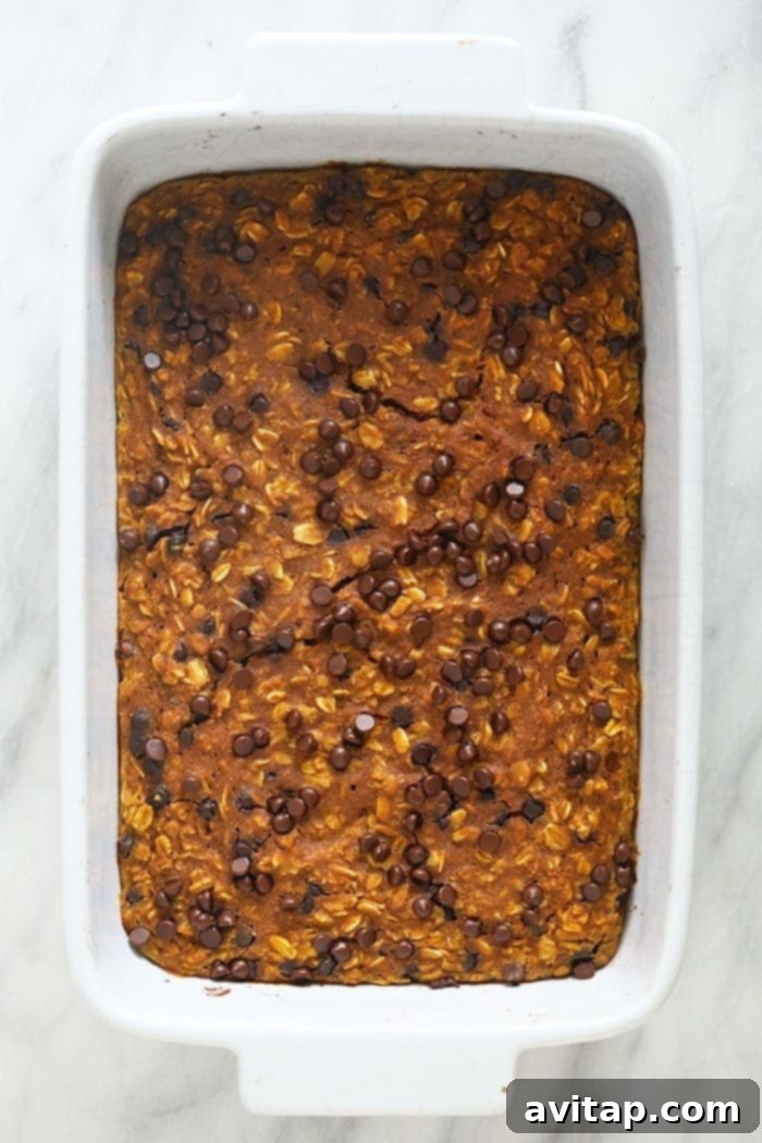Baked pumpkin oatmeal in a casserole dish, ready to be served