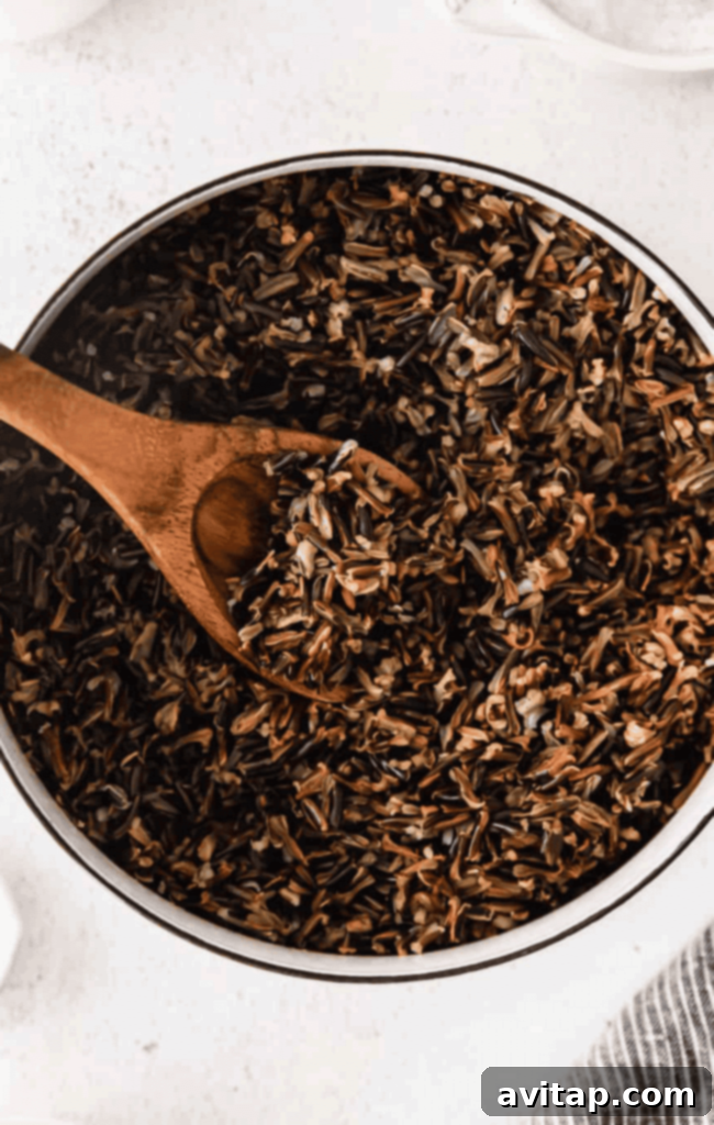 Perfectly cooked wild rice, showcasing its rich dark grains, ready to be enjoyed.
