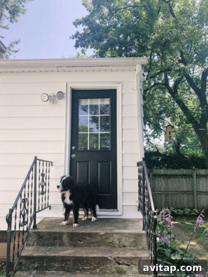 Charcoal door against white siding on a modern home