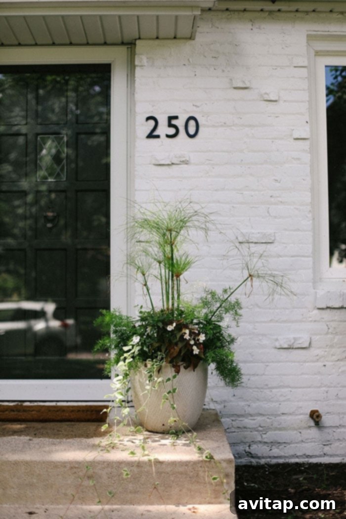 White brick house adorned with a stylish flower pot