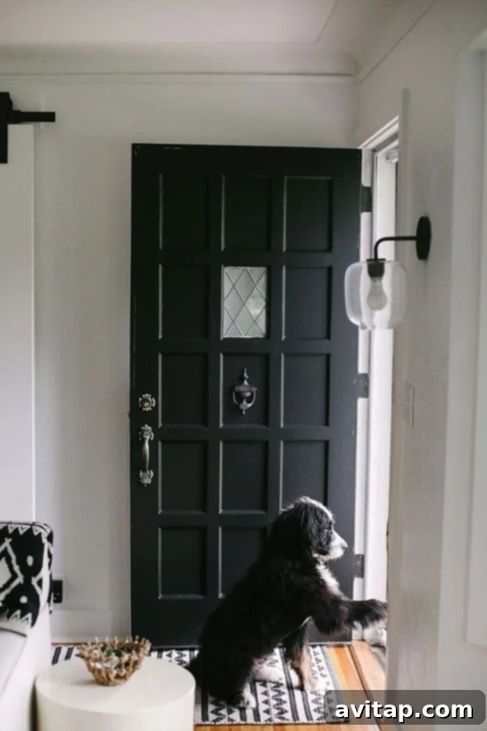Stylish charcoal front door with a cute Bernedoodle puppy