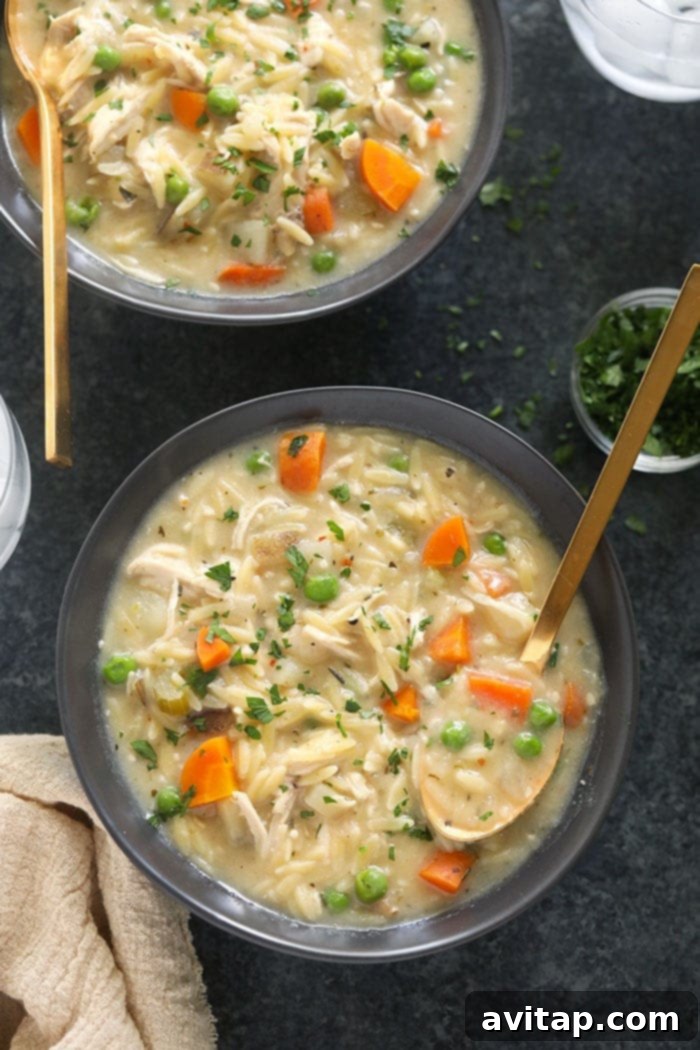 creamy chicken noodle soup