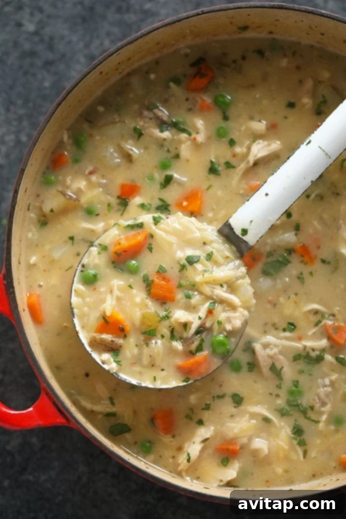 creamy chicken noodle soup in pot