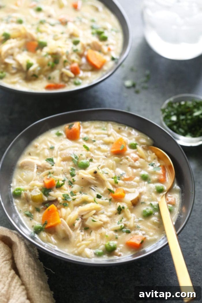 creamy chicken noodle soup in bowl