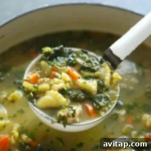 Spicy chicken noodle soup with a hint of kale, garnished and ready to serve.