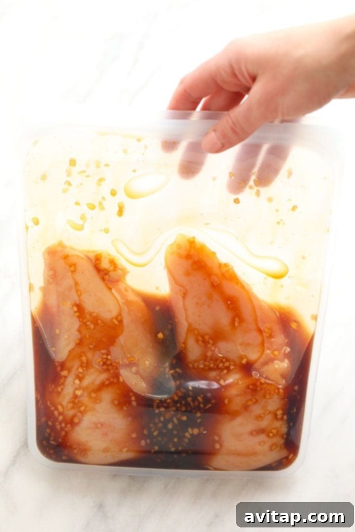 Chicken breasts marinating in a reusable silicone bag.