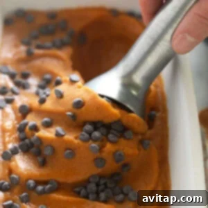 pumpkin nice cream