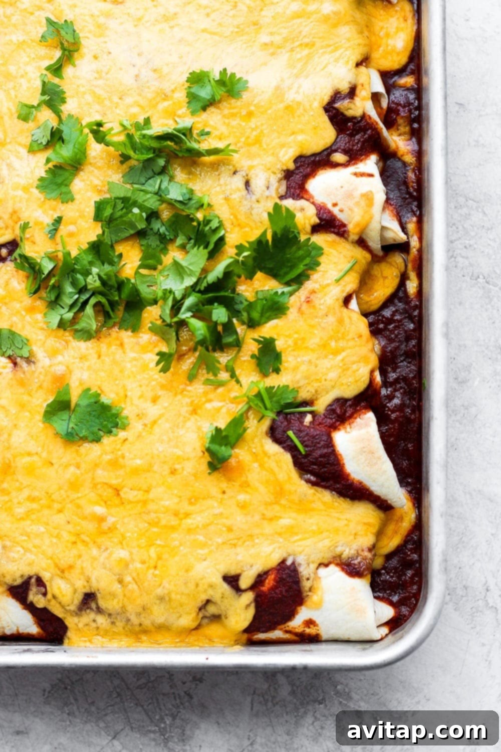 A close-up shot of rotisserie chicken enchiladas in a pan, garnished with fresh cilantro, showcasing their delicious, cheesy appeal.