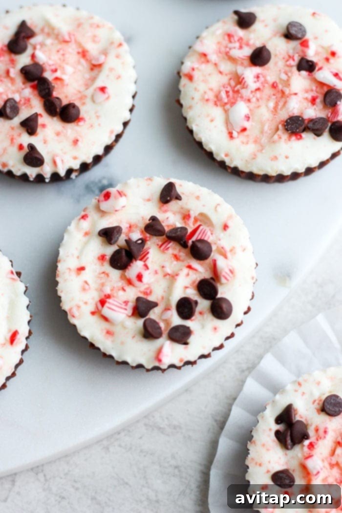 Three perfectly layered Peppermint Bark Fat Bombs, showing the distinct separation of the dark chocolate base and the vibrant peppermint top, adorned with festive crushed candies.
