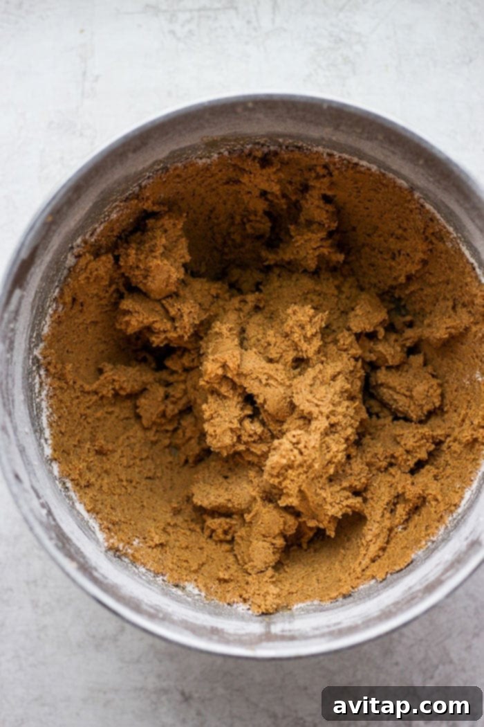 Smooth, rich ginger cookie dough, perfectly mixed and ready for chilling, promising excellent texture and flavor in the final baked cookies.
