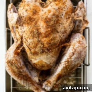 Raw turkey seasoned with dry rub, ready for cooking.