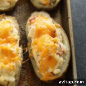 Double-Baked Potato Perfection 5 A close-up of cheesy twice baked potatoes, freshly out of the oven, with melted cheddar cheese glistening on top.