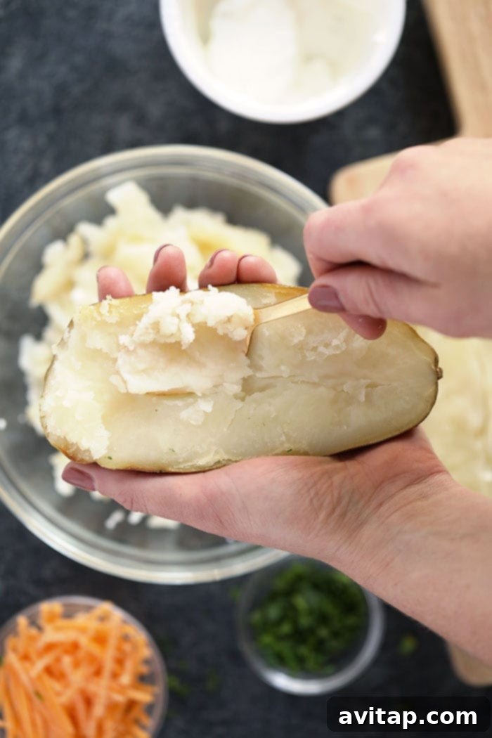 Preparing the Potato Skins for Filling Close-up shot of a baked potato being carefully scooped out, showing the fluffy interior being prepared for the creamy filling.