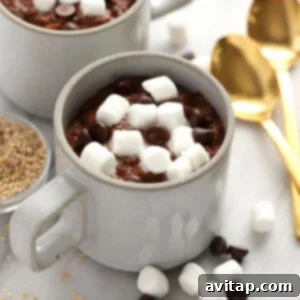 hot cocoa steel cut oats