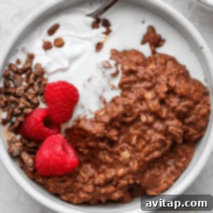Decadent Chocolate Protein Oats 2 A bowl of chocolate protein oatmeal generously topped with fresh raspberries and a swirl of whipped cream.