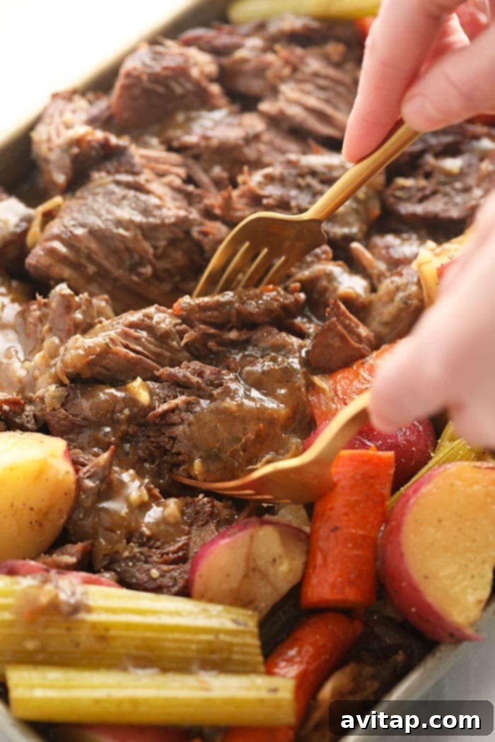 Instant Pot pot roast being shredded with two forks, showcasing its incredible tenderness