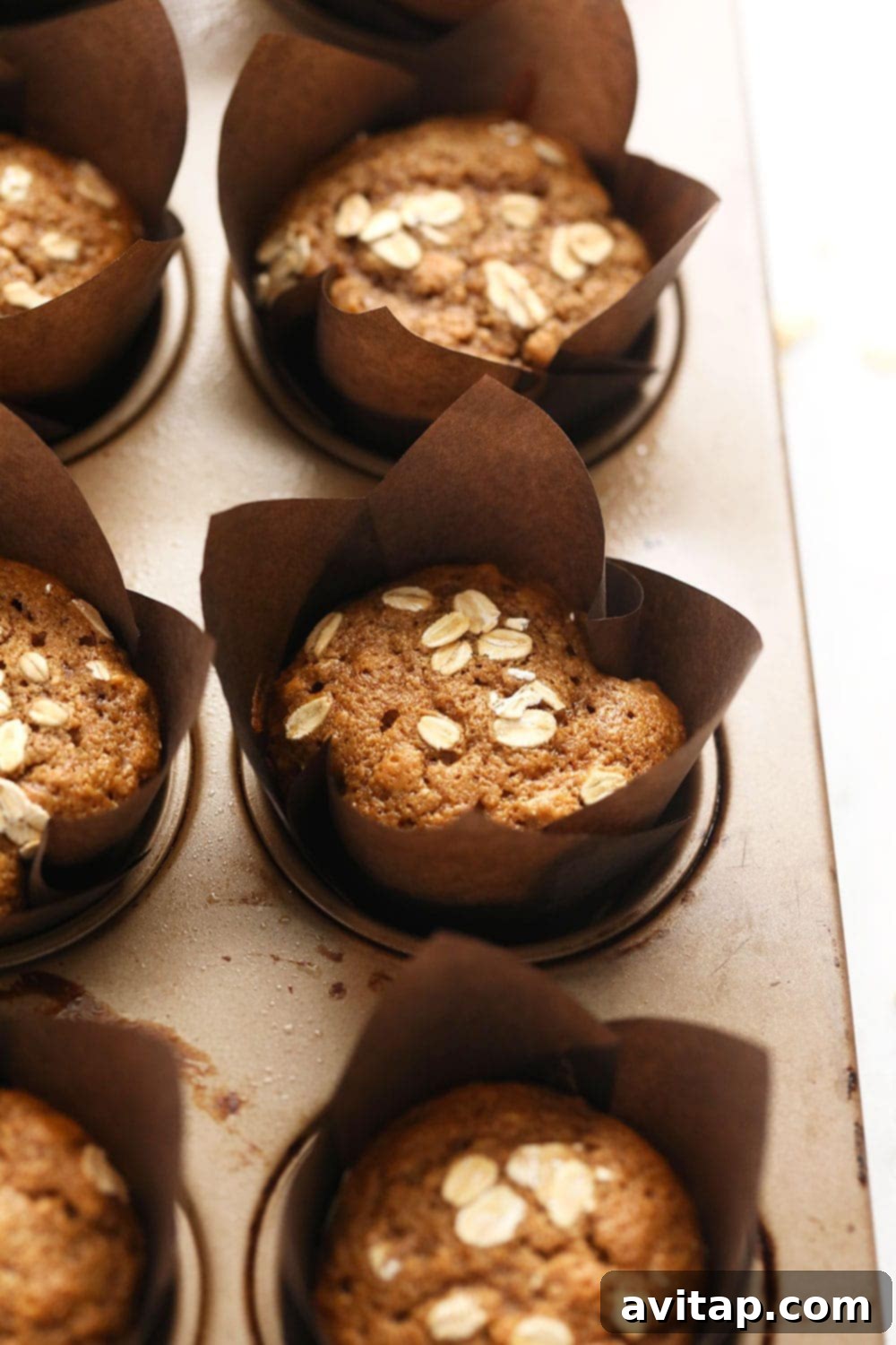 Hearty Oatmeal Muffins 4 Freshly baked classic oatmeal muffins cooling in a muffin pan, golden brown and perfectly risen.
