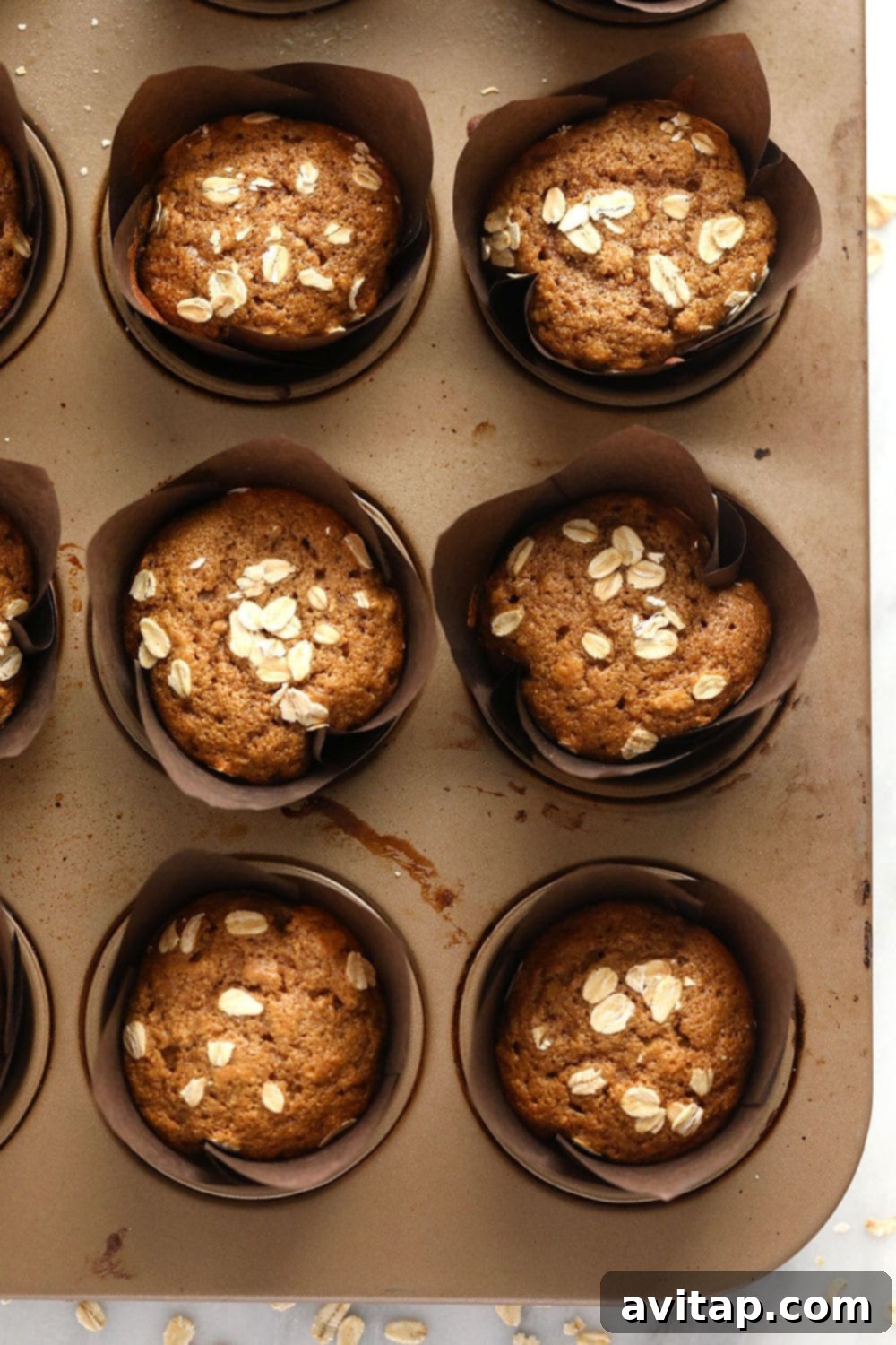 Hearty Oatmeal Muffins 5 Close-up of a single classic oatmeal muffin, showing its moist texture and visible rolled oats.