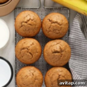 Wholesome Banana Muffins 2 Finished healthy banana muffins, perfectly golden and ready to serve.