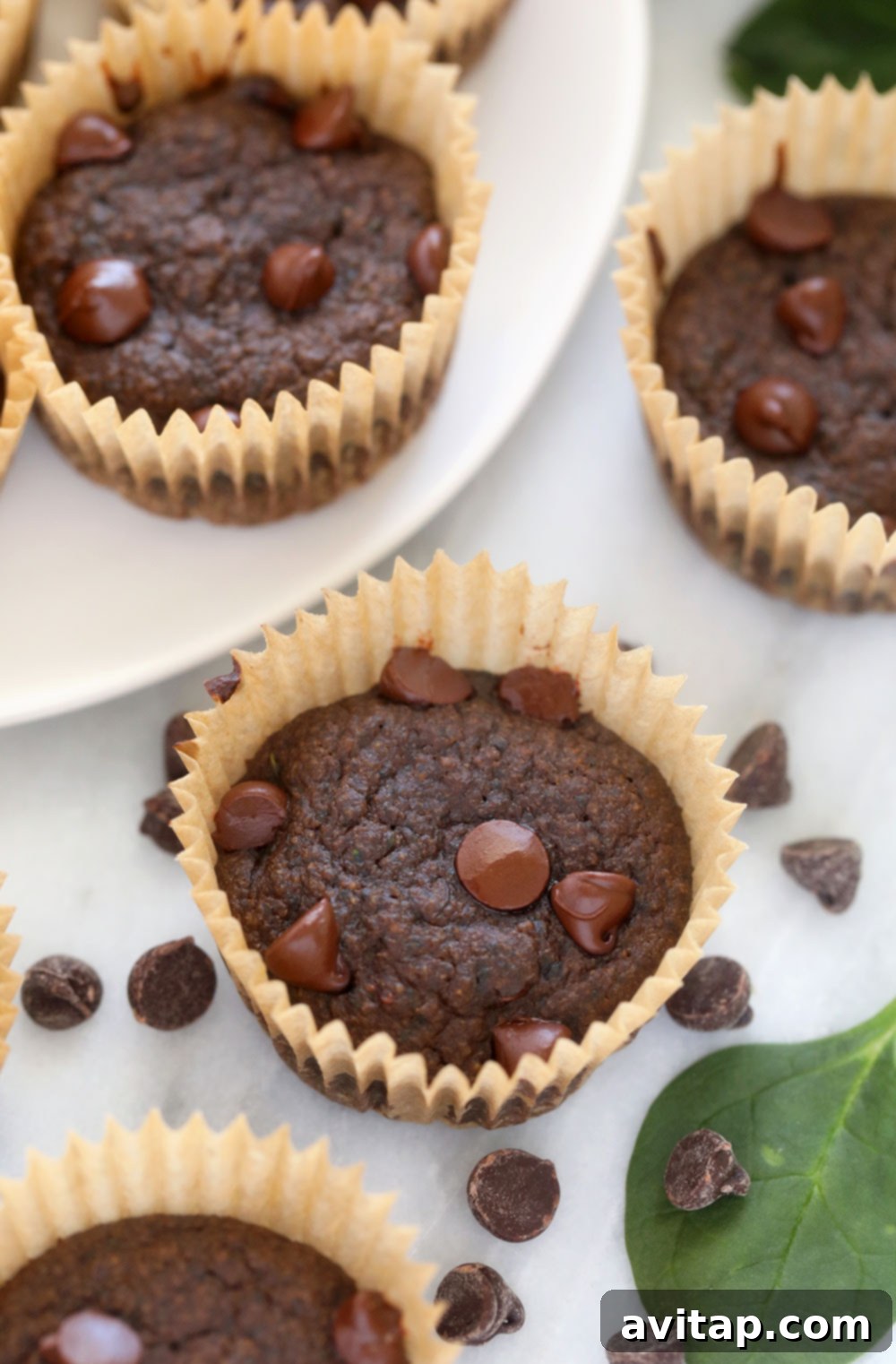 Deliciously baked healthy chocolate chip muffins Tray of freshly baked Sneaky Spinach Chocolate Chip Muffins, perfectly golden and chocolatey.
