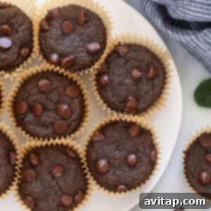 Healthy chocolate chip muffins on a white plate.