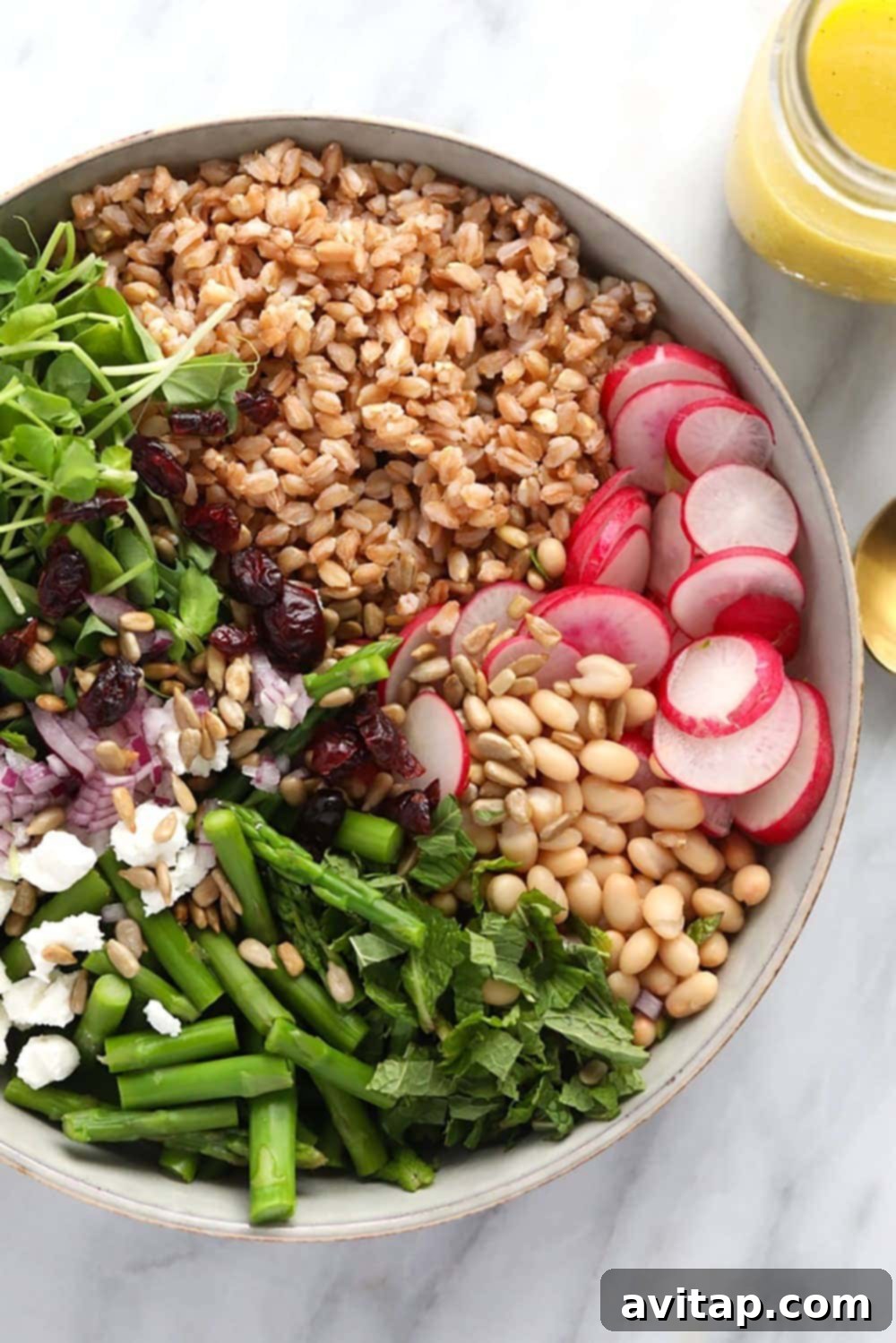 Close-up shot of a vibrant farro salad in a bowl, showcasing fresh vegetables and grains.