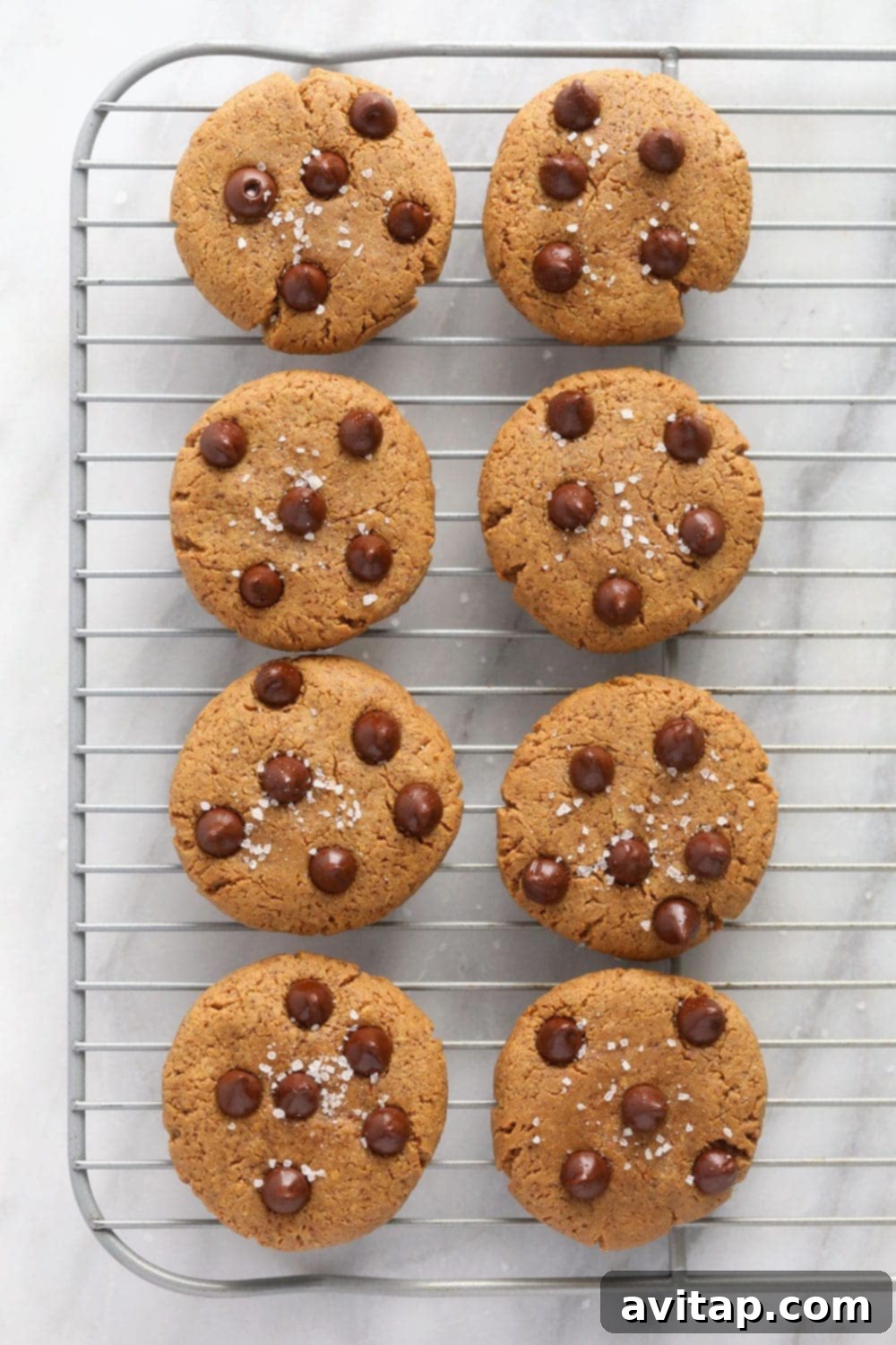 Peanut butter protein cookies cooling on a wire rack