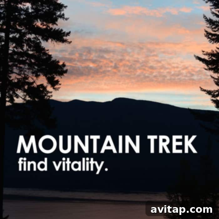 Mountain Trek Resort: A Transformative Journey to Wellness in British Columbia
