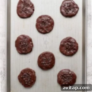 Unbaked chocolate protein cookies, carefully arranged on a baking sheet and topped with chocolate chips, ready for the oven.