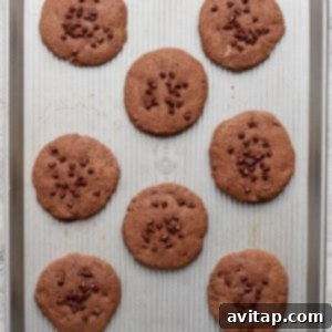 A baking sheet filled with eight large, perfectly baked chocolate protein cookies, some adorned with chocolate chips, cooling after baking.