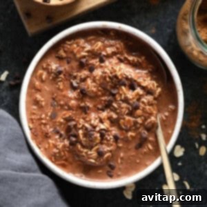 Final presentation of chocolate chai vegan overnight oats in a stylish bowl