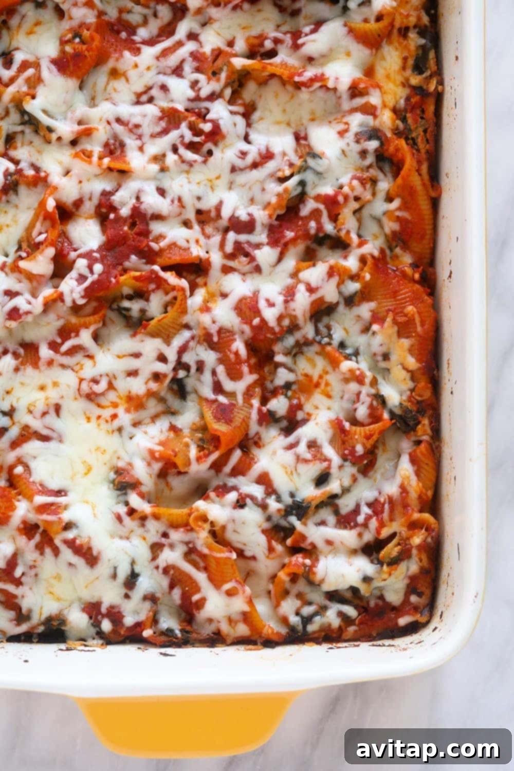 Golden-brown, baked vegetarian stuffed shells in a casserole dish, topped with melted mozzarella cheese and bubbling marinara sauce, garnished with fresh basil.