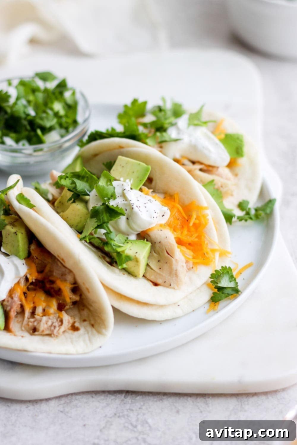 Three perfectly assembled shredded chicken tacos on a white plate, garnished with fresh cilantro
