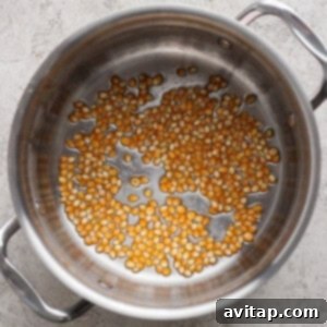 A stainless steel pot with a single layer of unpopped popcorn kernels spread across the bottom.