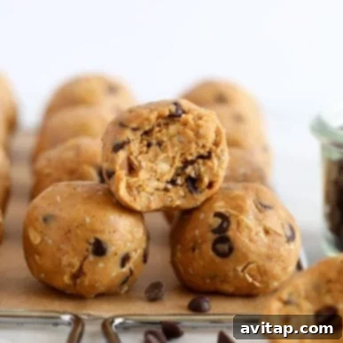 protein balls on rack