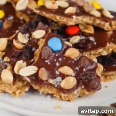 Pieces of chocolate bark topped with peanuts, colorful candies, raisins, and sea salt on a white plate.