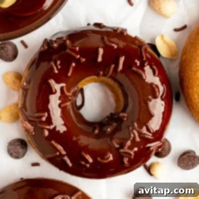 A chocolate-glazed donut with chocolate sprinkles, surrounded by chocolate chips and peanuts on a white surface.