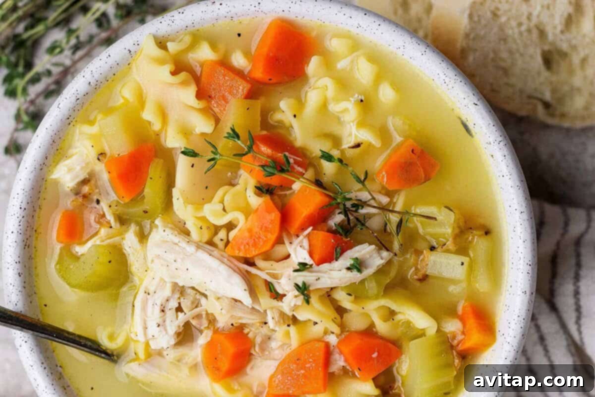 A comforting bowl of high protein creamy chicken soup with colorful vegetables, noodles, and fresh herbs.