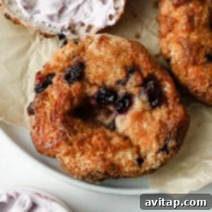 Toasted blueberry bagel