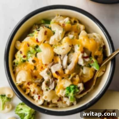 Chicken Broccoli Cottage Cheese Mac and Cheese - High-Protein Comfort Food